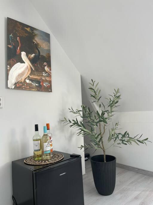Appartement In Centrum Αλκμάαρ Εξωτερικό φωτογραφία